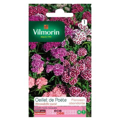 Graines d'Oeillet de Poète Hirondelle Varié Vilmorin