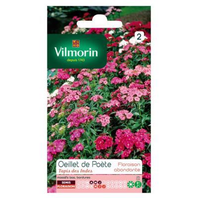 Graines d'Oeillet de Poète Tapis des Indes Vilmorin