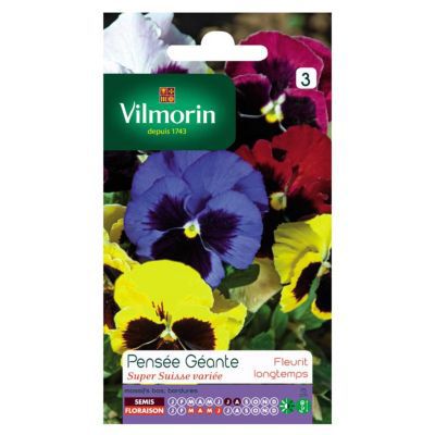 Graines de Pensée Géante Super Suisse Variée Vilmorin