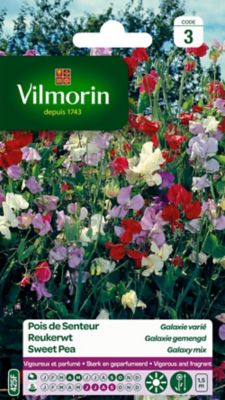 Graines de Pois de Senteur Galaxie Varié Vilmorin