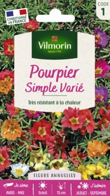Graines de Pourpier Grande Fleur Simple Varié Vilmorin