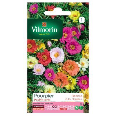 Graines de Pourpier Grande Fleur Double Varié Vilmorin