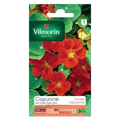 Graines de Capucine de Lobb Spit-fire Vilmorin