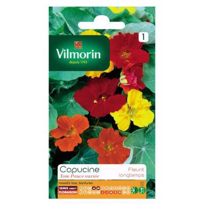 Graines de Capucine Tom Pouce Variée Vilmorin