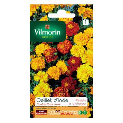 Graines d'Oeillet d'Inde Double Nain Varié Vilmorin