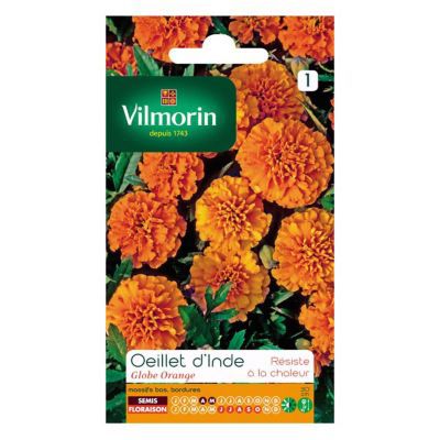 Graines d'Oeillet d'Inde Globe Orange Vilmorin