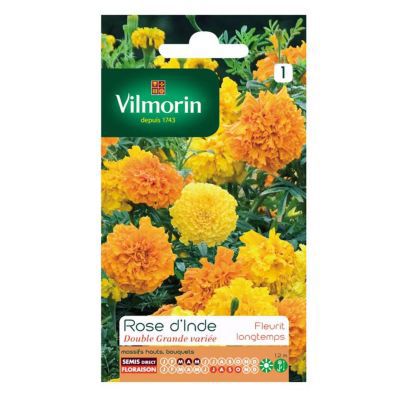 Graines de Rose d'Inde Double Grande Variée Vilmorin