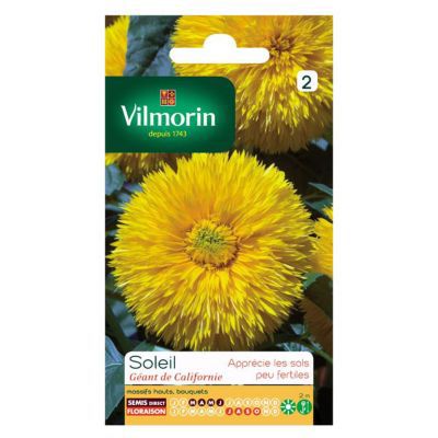 Graines de Soleil Double Géant de Californie Vilmorin