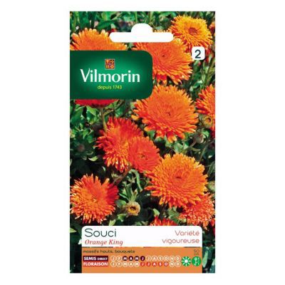 Graines de Souci Orange King