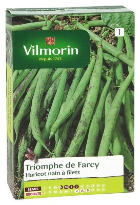 Graines de Haricot Nain Triomphe Farcy Vilmorin
