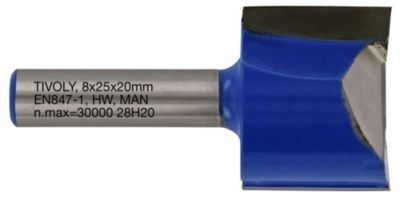 Tivoly Fraise de Défonceuse à Rainurer Droit D25mm 2 Lames en Carbure TigeD8mm Pour Travail du Bois