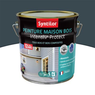 Peinture extérieure maison bois Intensiv Protect Syntilor gris foncé 2L