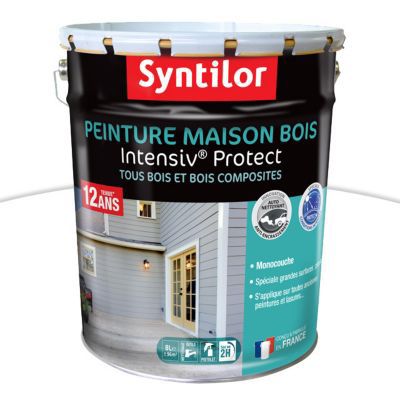 Peinture extérieure maison bois Intensiv Protect Syntilor blanc 8L