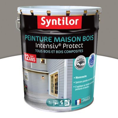 Peinture extérieure maison bois Intensiv Protect Syntilor gris cendré 8L