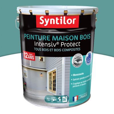 Peinture extérieure maison bois Intensiv Protect Syntilor gris bleuté 8L