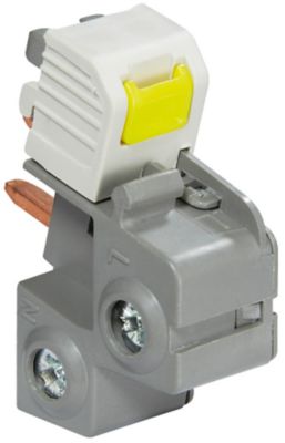 Borne d'alimentation P+N Legrand