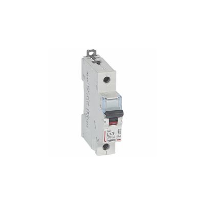 407658 Disjoncteur Unipolaire 1p Courbe C 610ka à Vis Legrand Dx3
