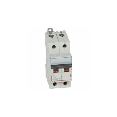 407779 Disjoncteur Bipolaire 2p Courbe C 610ka à Vis Legrand Dx3