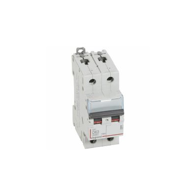 408021 Disjoncteur Bipolaire 2p Courbe D 610ka à Vis Legrand Dx3