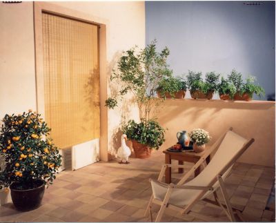 Store enrouleur tamisant bois tissé Ballauf chamois 100 x 200 cm