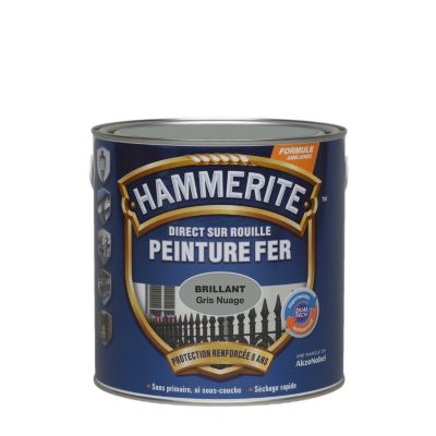 Peinture extérieure métal direct sur rouille Hammerite brillant laqué gris nuage 2,5L