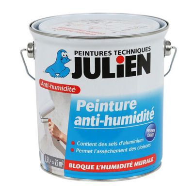 Peinture Traitement Anti Moisissures Dip Blanc 750 Ml Castorama