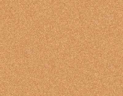 Dalle liège autocollante l.40 x H.50 cm