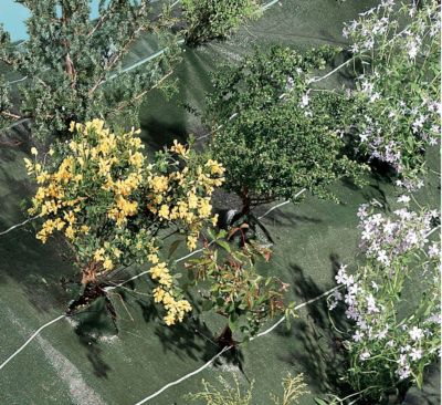 Toile paillage sp pays.1m25 100425