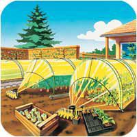 Film spécial maraîchage - jaune