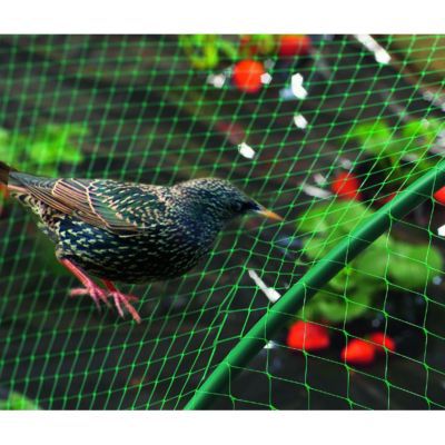 Filet De Protection Oiseau Nortene 5 X 10 M Castorama