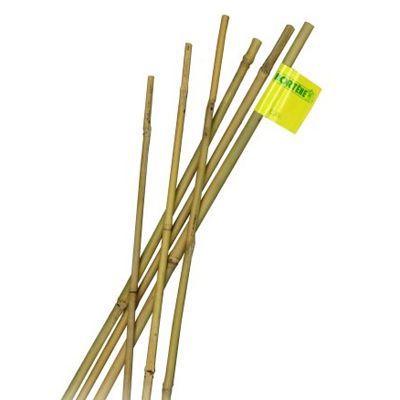  Tuteur  bambou  naturel Nortene 6 8 mm h 60 cm  Castorama