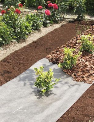 Nortene Nappe de jardinage 1 x 25 TERRATEX