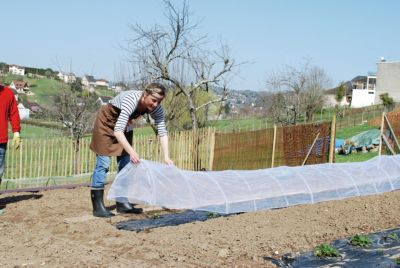 Tunnel avec filet anti-insectes Jany France 0 60 x 3m