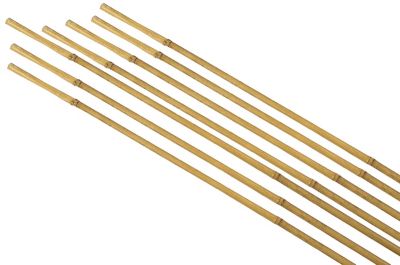 Tuteur pour plante en bambou H.60 cm (lot de 7)