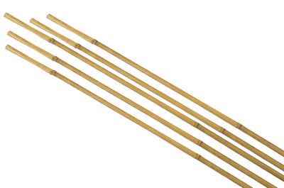 Tuteur pour plante en bambou h.90 cm (lot de 5)