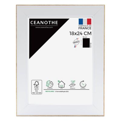 Cadre Newton blanc l.18 x H.24 cm Ceanothe