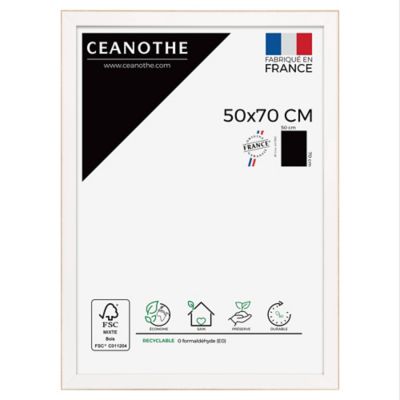 Cadre Newton blanc l.50 x H.70 cm Ceanothe