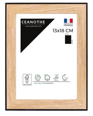 Cadre Newton noir l.13 x H.18 cm Ceanothe
