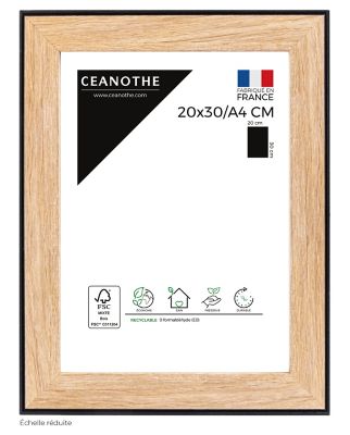 Cadre Newton noir l.21 x H.29,7 cm Ceanothe