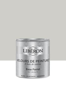 Peinture multisupport murs, plafonds et boiseries Velours de peinture gris crème de topinambour Libé