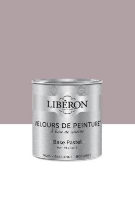 Peinture multisupport murs, plafonds et boiseries Velours de peinture rose mauve porte des lilas Lib