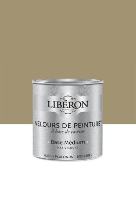 Peinture multisupport murs, plafonds et boiseries Velours de peinture vert picholine Libéron 0,5L