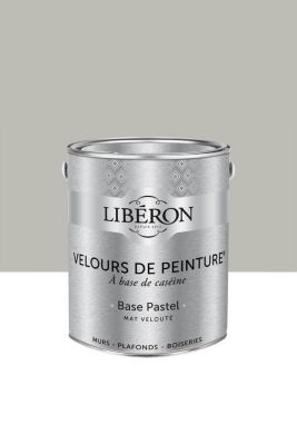 Peinture multisupport murs, plafonds et boiseries Velours de peinture gris pleurotte Libéron 2,5L
