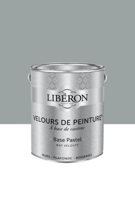 Peinture multisupport murs, plafonds et boiseries Velours de peinture gris corne de brume Libéron 2,