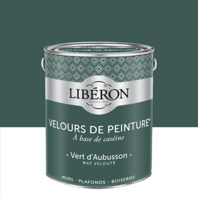 Peinture multisupport murs, plafonds et boiseries Velours de peinture vert d'aubusson Libéron 2,5L