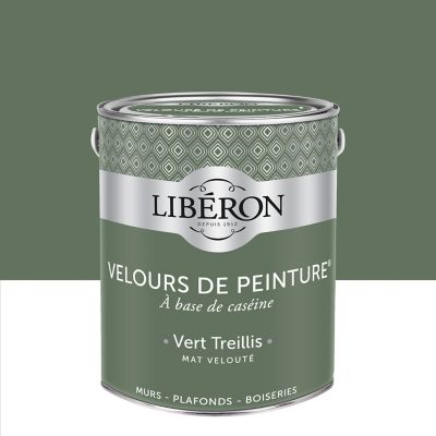 Peinture murs, plafonds et boiseries Velours de peinture vert treillis Libéron 2,5L