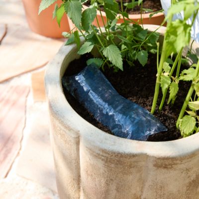 Gel d'arrosage pour plantes et fleurs Jardigel 400ml