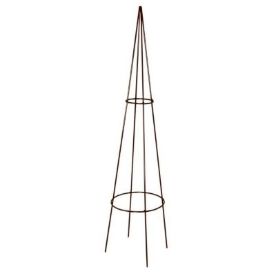 Tuteur Tipi Classique fer vieilli LOUIS MOULIN 20x100 cm Acier époxy