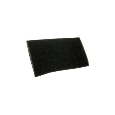 Filtre mousse 12027764 pour Aspirateur BOSCH