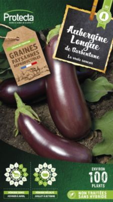 Graine d'aubergine violette de Barbentaine Protecta